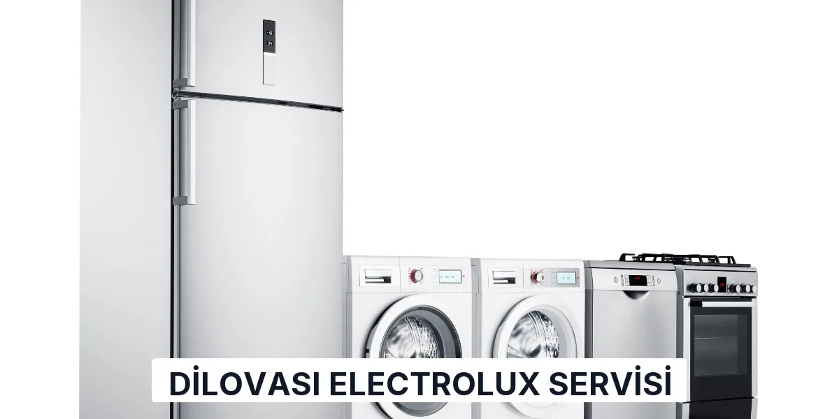Dilovası Electrolux Servisi