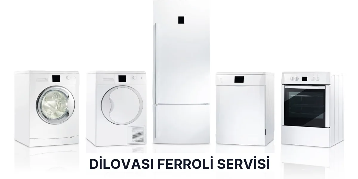 Dilovası Ferroli Servisi