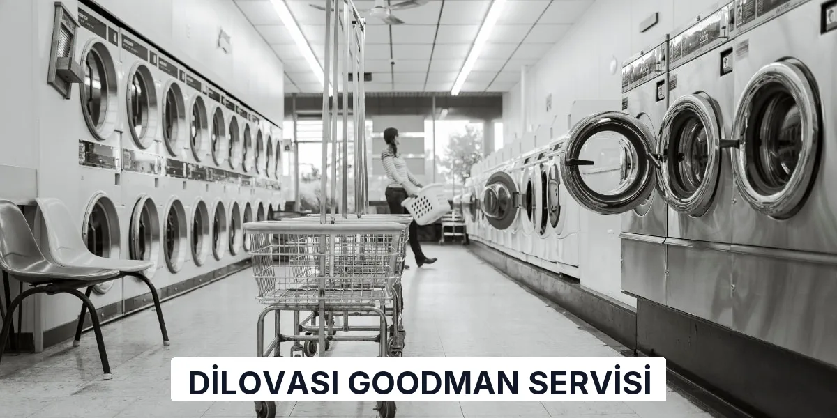 Dilovası Goodman Servisi