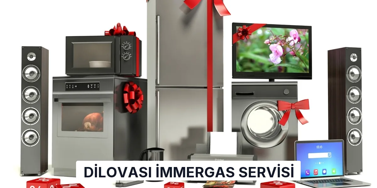Dilovası İmmergas Servisi