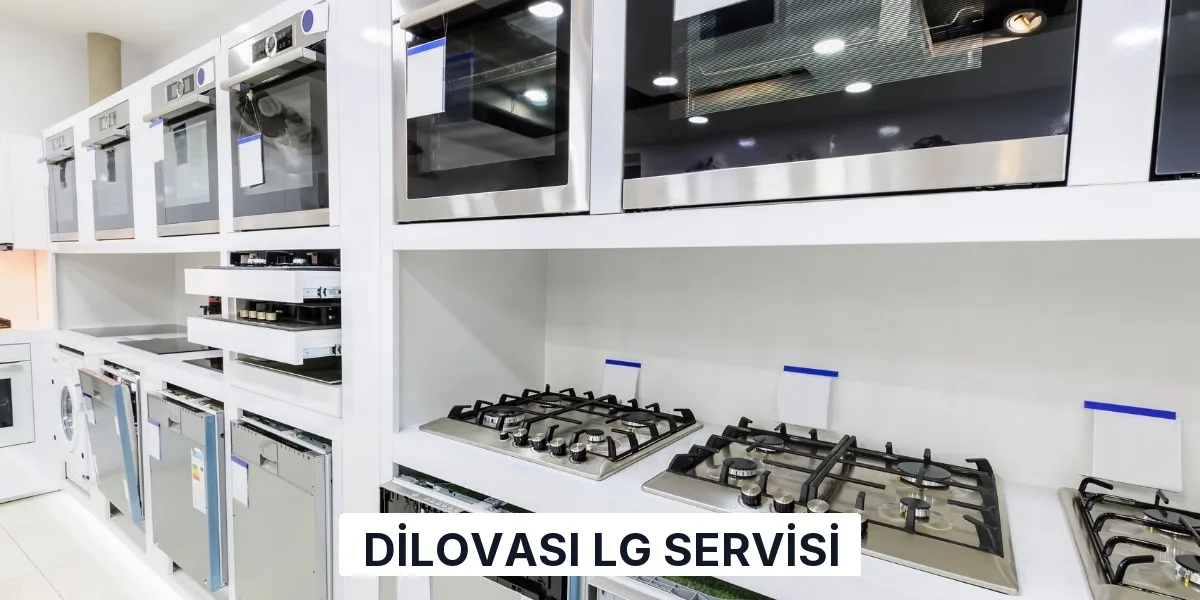Dilovası LG Servisi