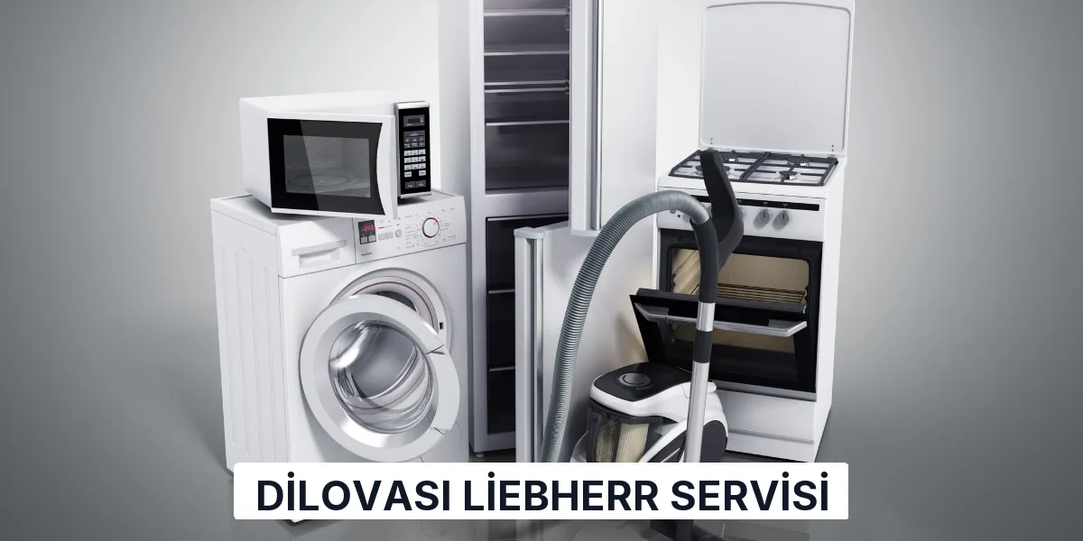 Dilovası Liebherr Servisi