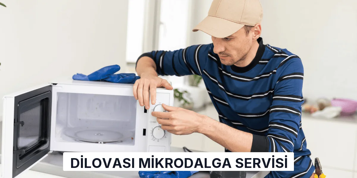 Dilovası Mikrodalga Servisi