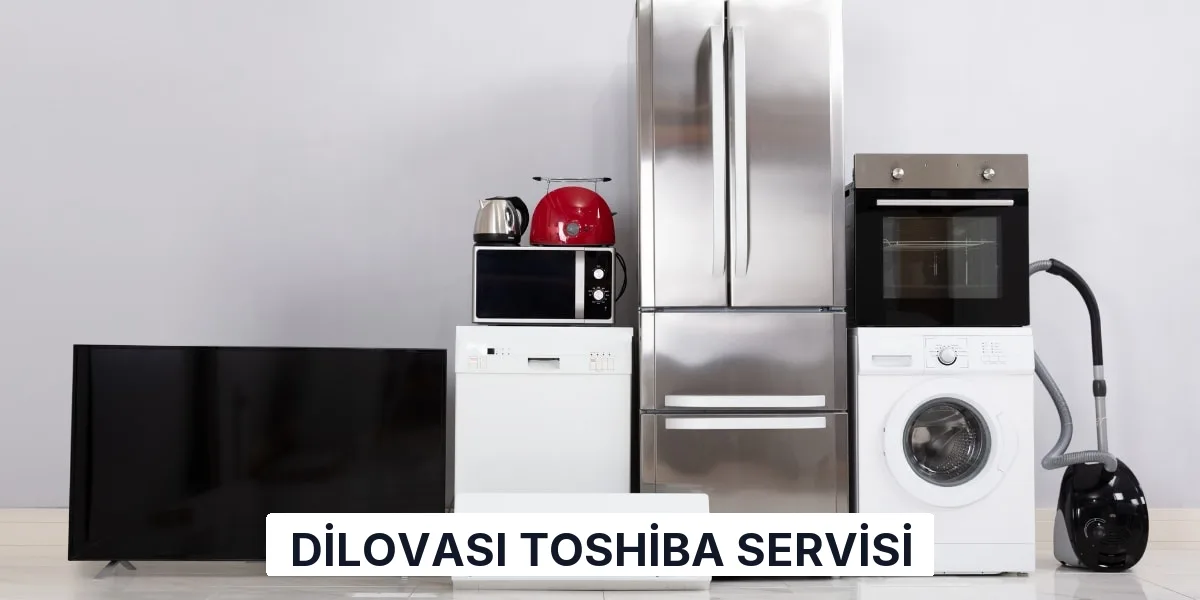 Dilovası Toshiba Servisi
