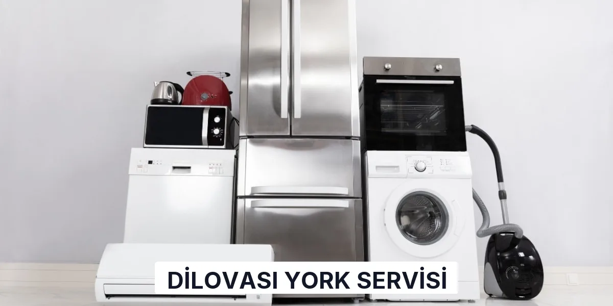 Dilovası York Servisi